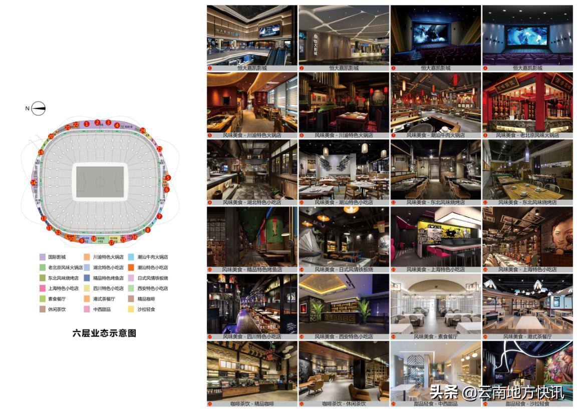 最美荷花盛开视频,最美荷花秀视频大全