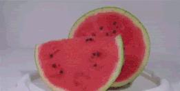 词汇量2w,词汇量20000+是什么体会