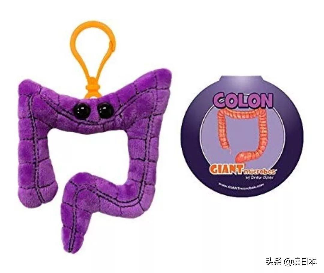 日本开始贩卖“内脏”？如此可爱的*体器人官**钥匙扣，你敢带吗？