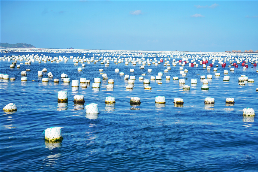 嵊泗旅游美食攻略,嵊泗攻略3天2夜美食推荐