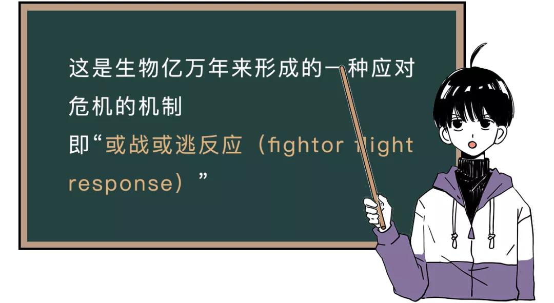 紧张想上厕所是什么原因,考试紧张想上厕所吃什么能缓解