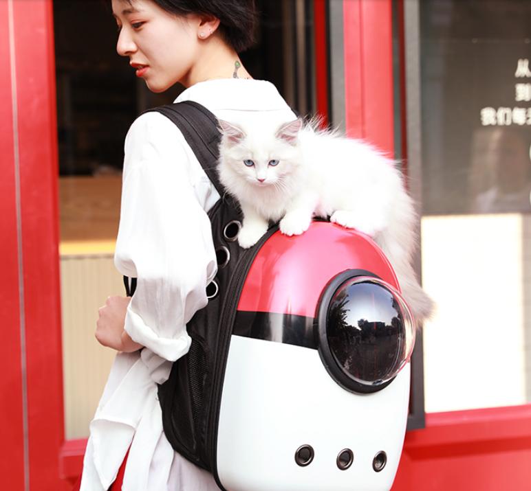 猫包有必要买侧开门的嘛,猫包是必备吗