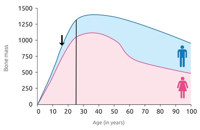 过年送礼送健康好处,春节送礼送保健品合适吗