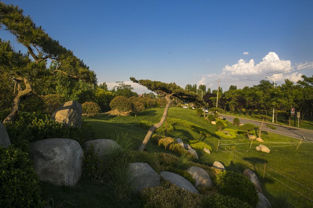 西安公园24小时开放,西安免费儿童玩的公园