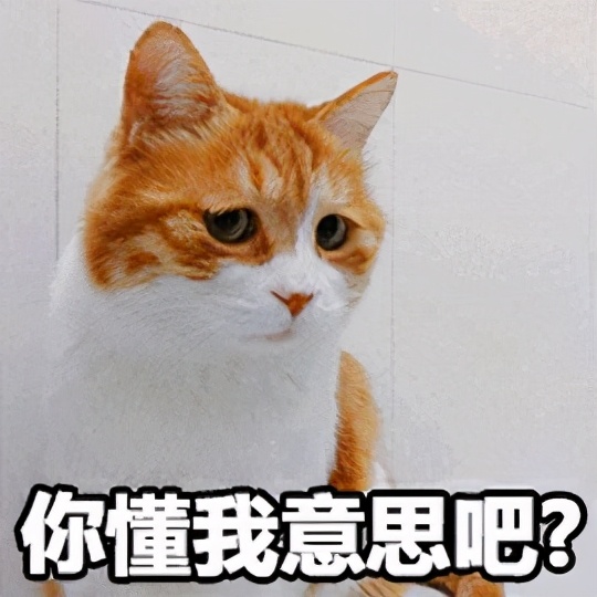 猫咪糖尿病如何诊断,猫咪糖尿病如何确诊