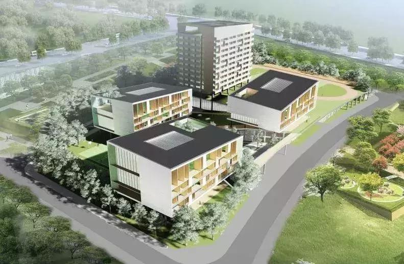 深圳怎么查询学区相对应的学校,深圳小学初中学区查询