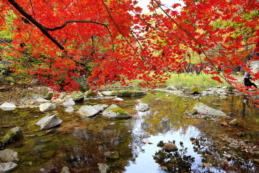 鞍山铁东区宝藏,鞍山小众宝藏地