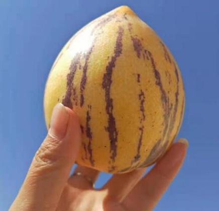 六月什么水果最有营养,6月适合吃的国产水果