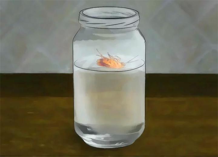 家里蟑螂太多怎么能彻底清除蟑螂,家里蟑螂多如何灭蟑螂