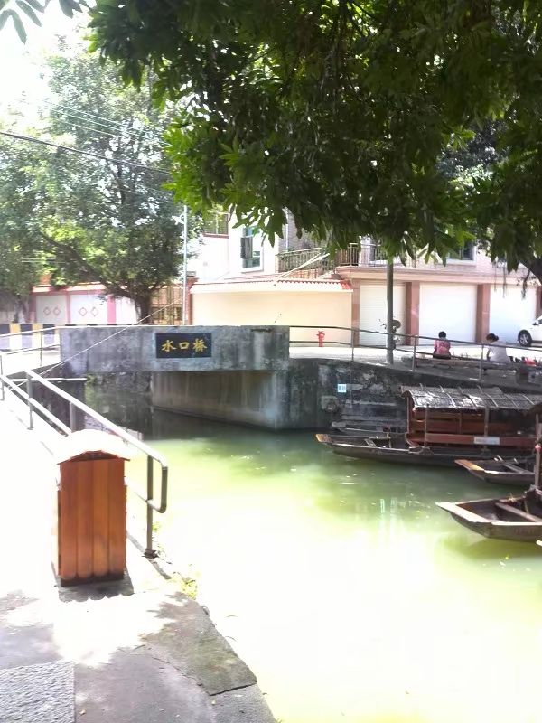 上海人眼中的顺德,全国人对顺德的评价