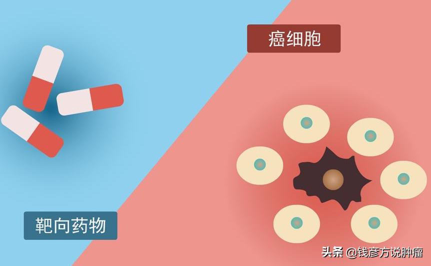 中医药中的靶向作用,中医药靶向药有哪些