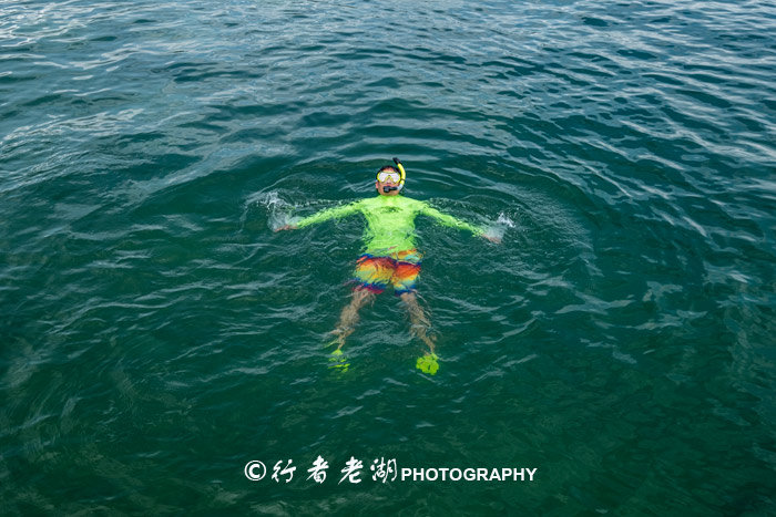 这个荒岛超多海胆和鲍鱼，但不能抓只能看，登岛还必须入境香港