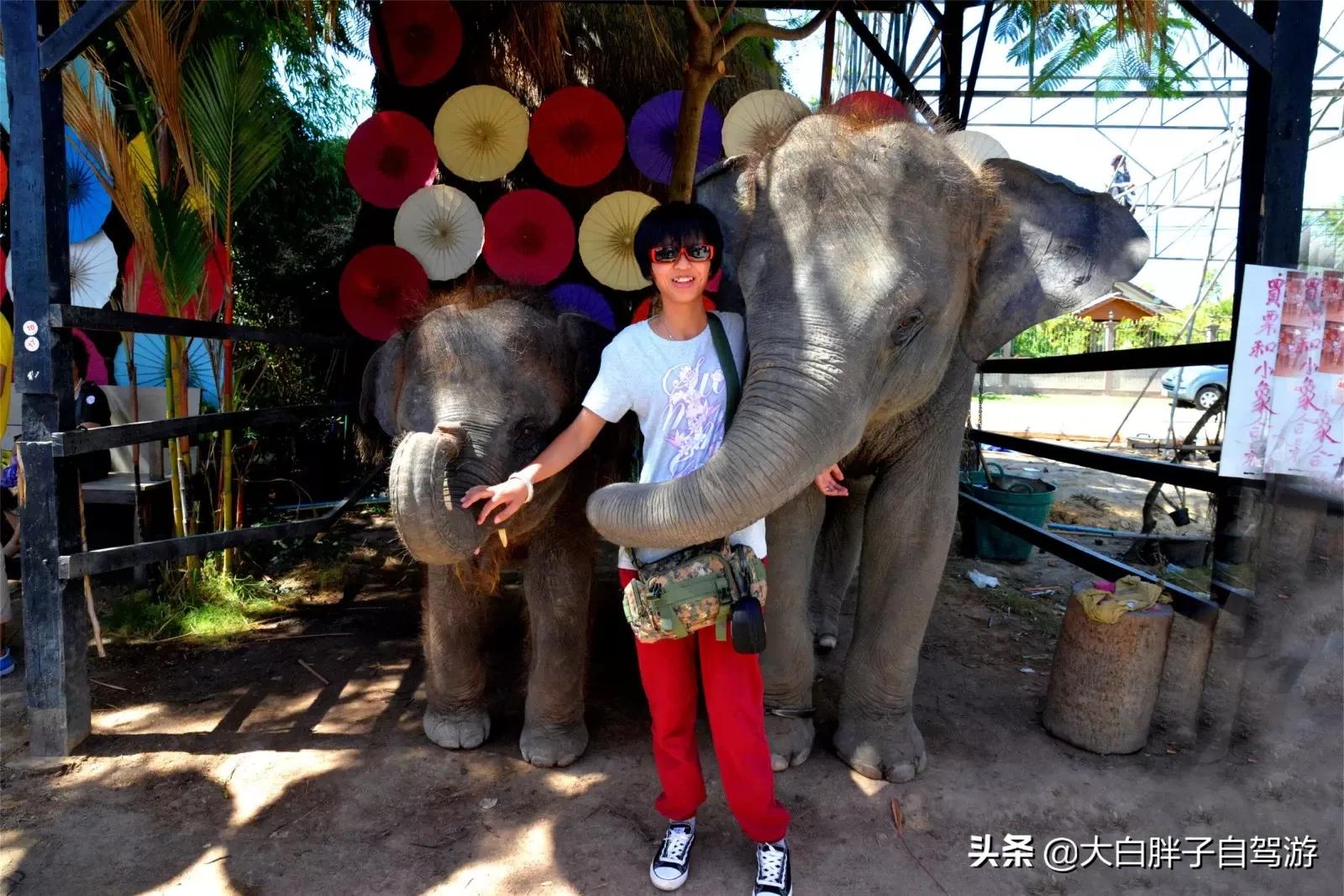 泰国风情之旅完整版,泰国风情记