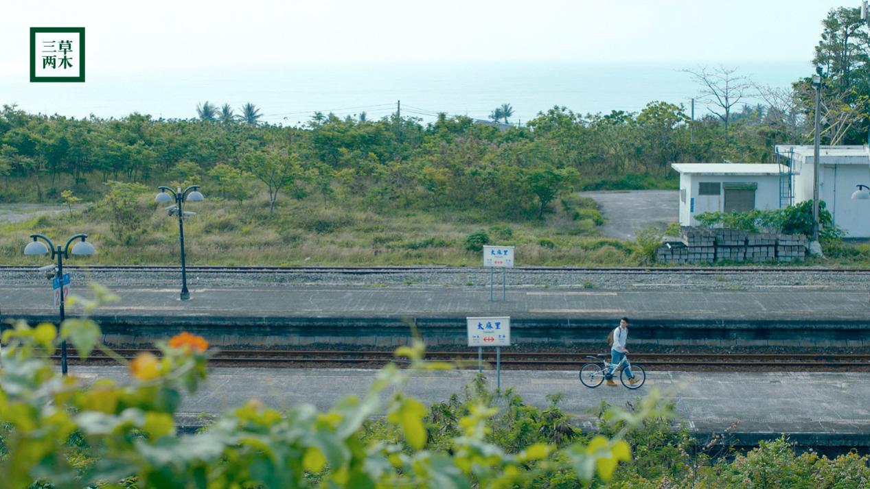 来自全国各地的三草两木,三草两木的特色是什么