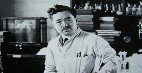 野口英世是什么东西,野口英世