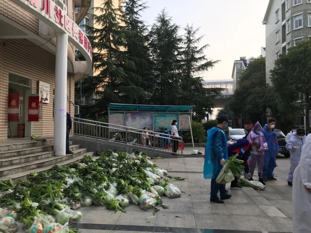 收到政府发放的爱心菜,政府领的爱心菜