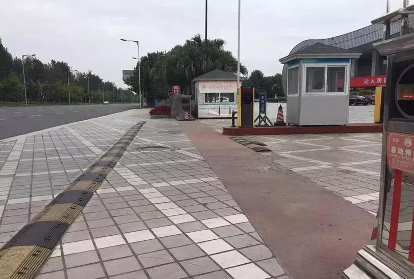 体育馆内的超绝颜值,成都双流体育场