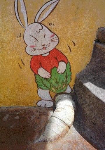 一周gif动图,一周gif图