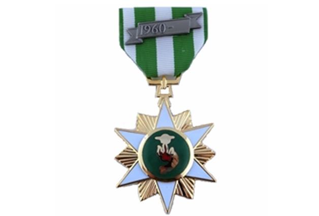 美军勋章略章图文对照,美军荣誉勋章图案