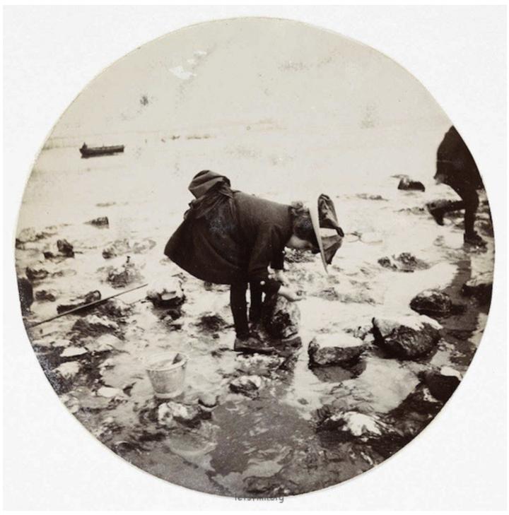 美国摄影师斯蒂格利茨作品,阿尔弗雷德·斯蒂格利茨的作品