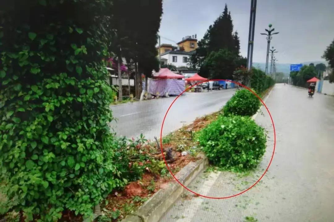 醉驾被取保候审期间再次醉驾,醉驾取保候审期间无证驾驶怎么判