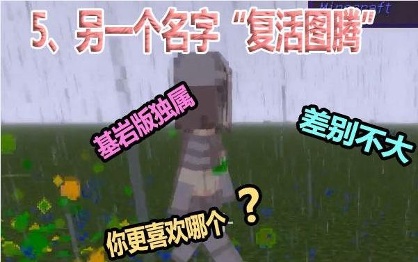 我的世界不死图腾的作用是什么,我的世界有几个不死图腾