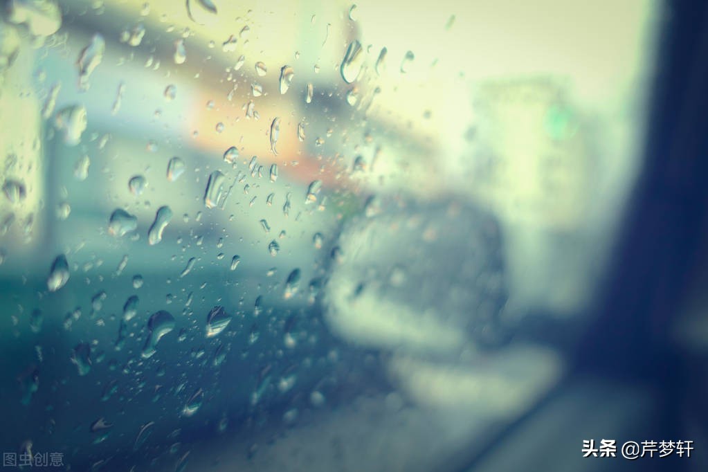 红楼梦诗社完整版,红楼诗社