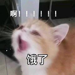 深圳今年过年外卖单多吗,深圳春节外卖单价