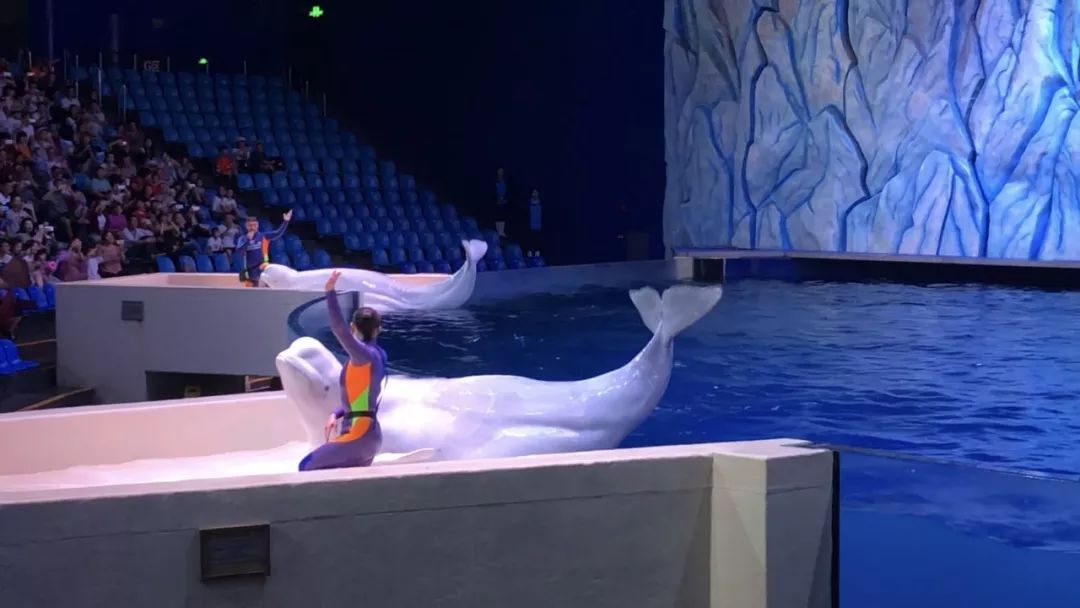 枫悦民宿珠海长隆海洋王国店,珠海长隆附近民宿公寓推荐