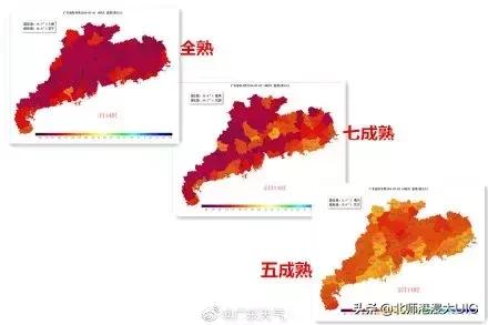 立秋啦，这个夏天UICer收获了什么？