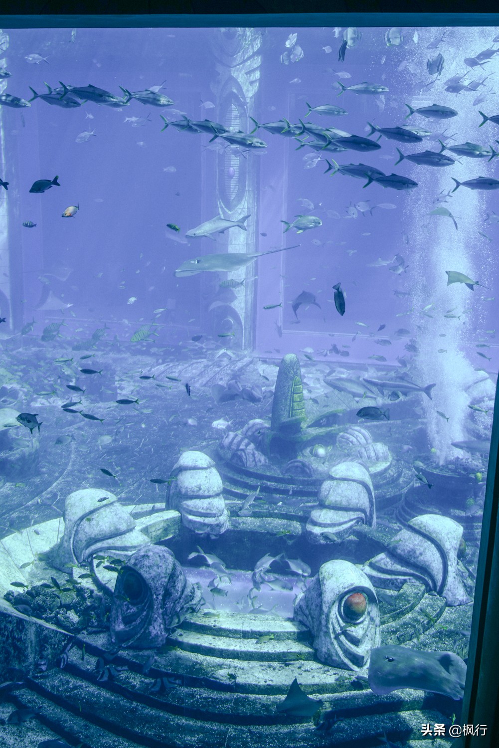 被猴子袭击，门票昂贵，拍照被轰，被我全程吐槽的三亚到底值不值