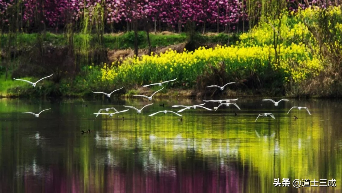 93年属鸡的住房最佳楼层及方位,从风水角度看买什么朝向的房子好