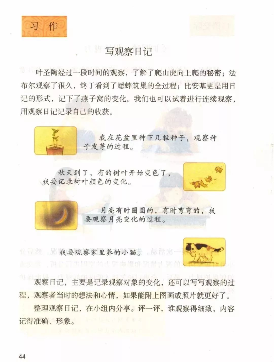部编版四年级语文上册教材,部编版语文四年级上册电子课本