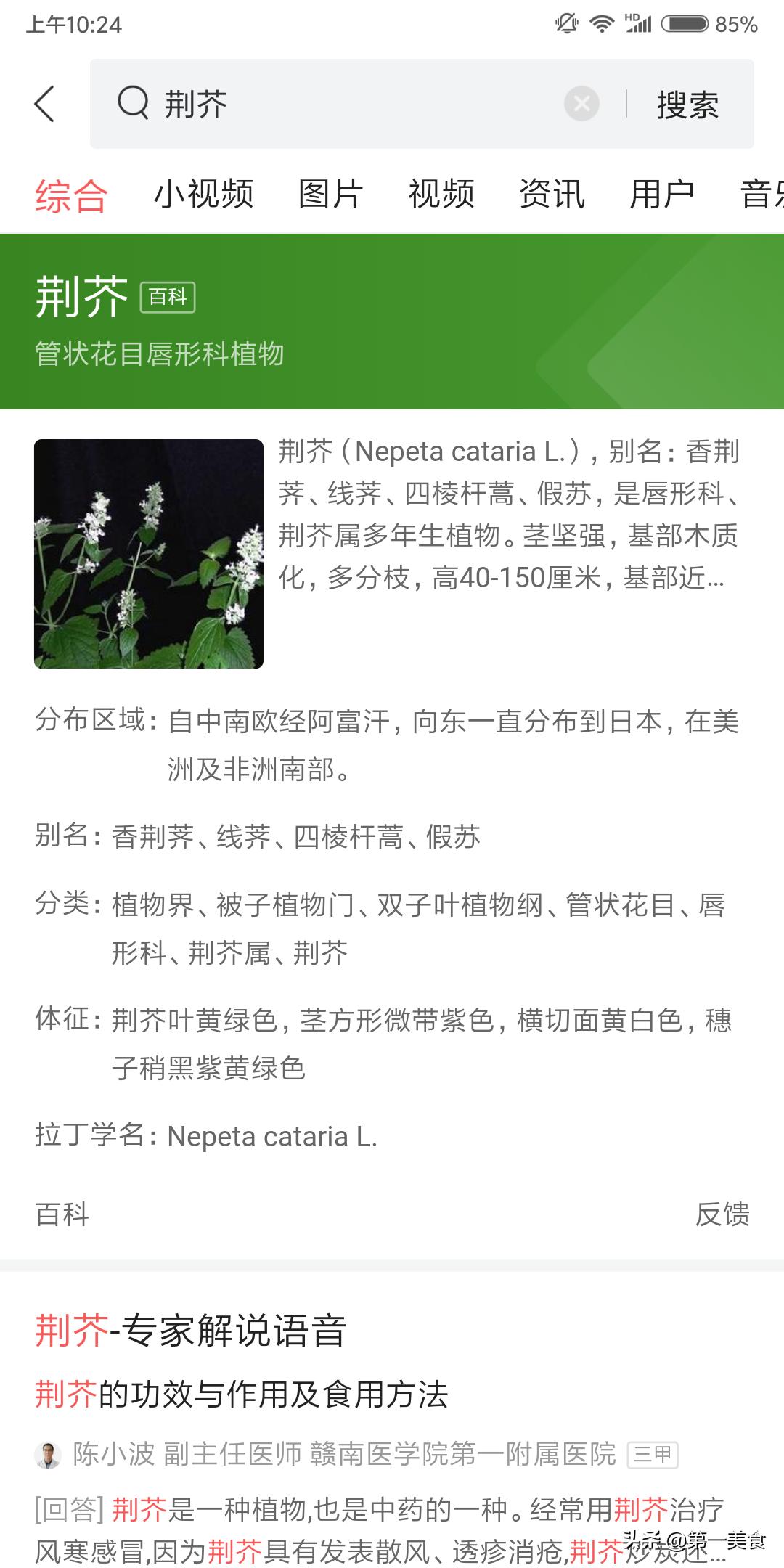 煎鸡蛋怎样煎视频,煎鸡蛋怎么弄简单又好吃