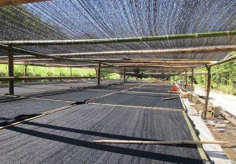 人工养殖最新消息今天,现在人工养殖到底能不能售卖啊