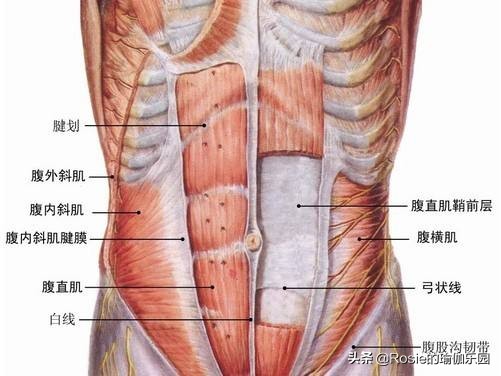纠正体态美背,圆肩驼背松弛感穿搭