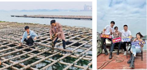 寻找钦州民间大蚝｜达人集结钦州，奔赴山海间的“蚝”门盛宴