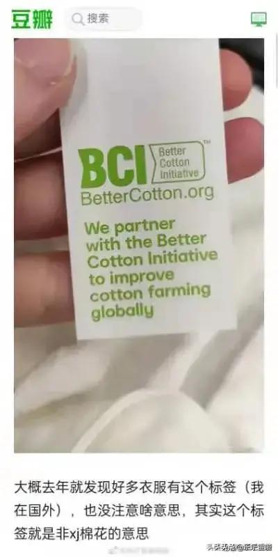 BCI认证活动违法，依法应予没收违法所得，撤销批准文件