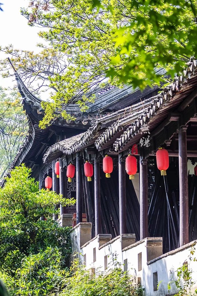 惠山古镇天下第二泉竹筒茶,惠山古镇天下第二泉