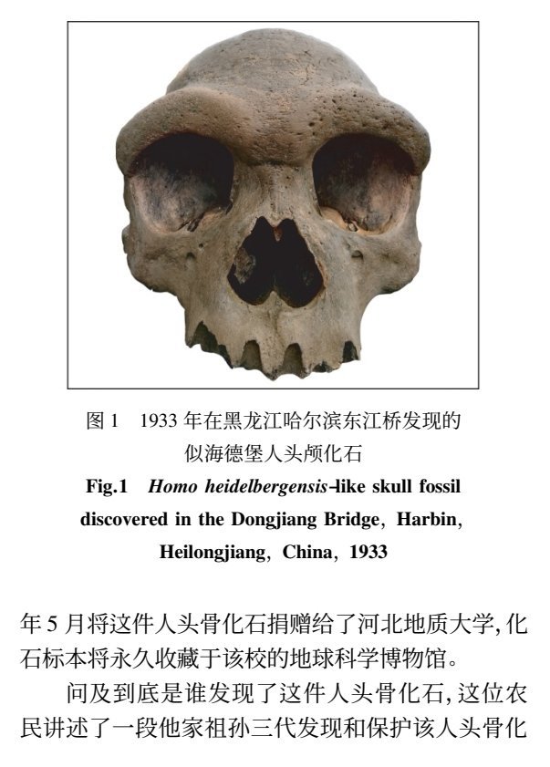 新种族龙人,新人类物种的发现