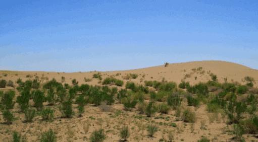 马云退休:人生就是大闹一场,然后悄然离去