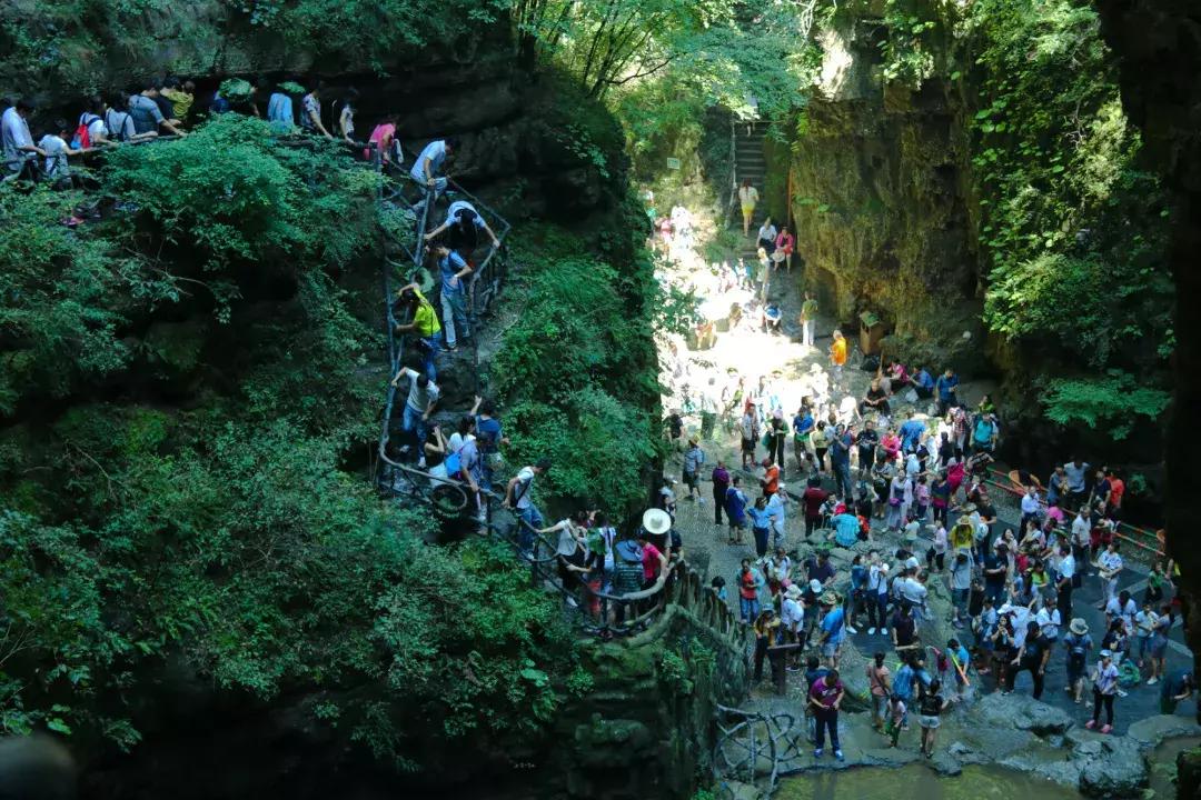 城里热山里凉快视频,高温天气清凉避暑好胜地