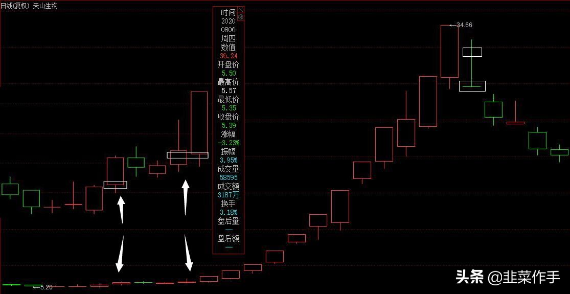 牛市规律分析视频,牛股k线