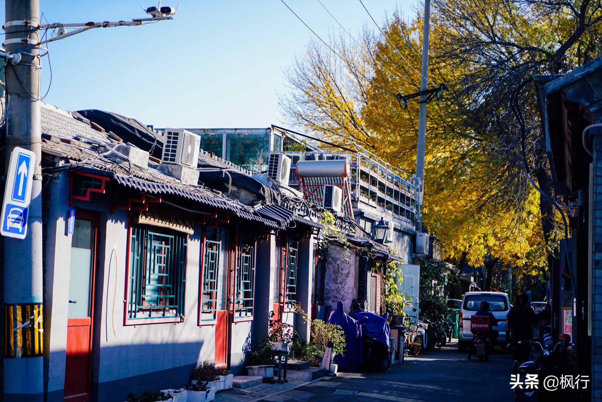 北京18个看银杏的好地方在哪,北京八大处看银杏攻略