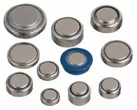 日常对狗狗危害最大的食品,防狗器对犬的危害