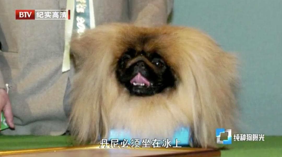 你有什么资格说爱我吗,你有什么资格说爱我完整版