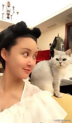 洗面奶张歆艺,张歆艺推荐护肤套装