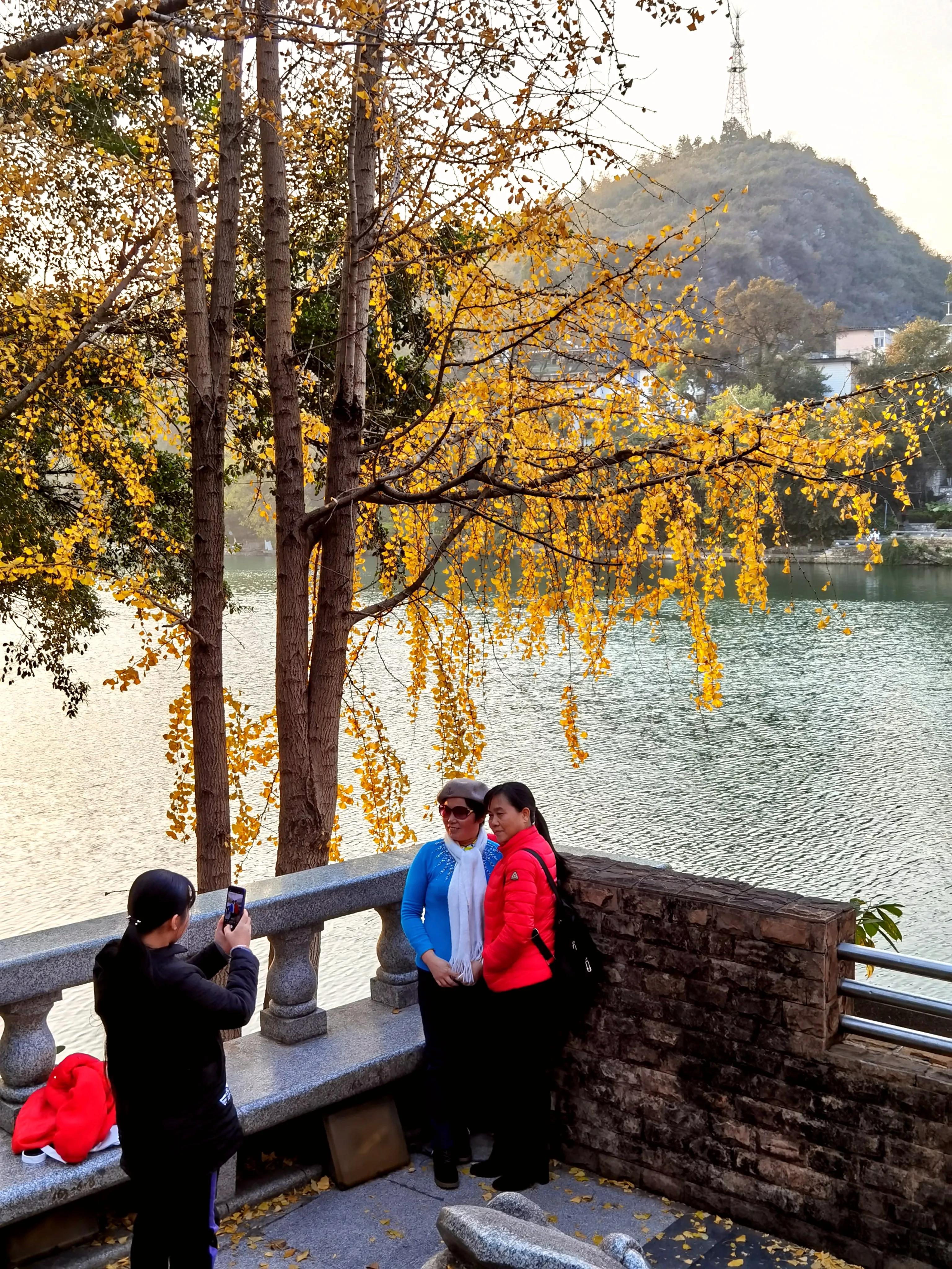 桂林：冬季到桂湖来看景
