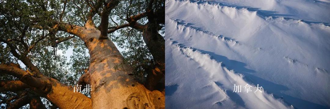 f4重聚演唱,f4再次重聚