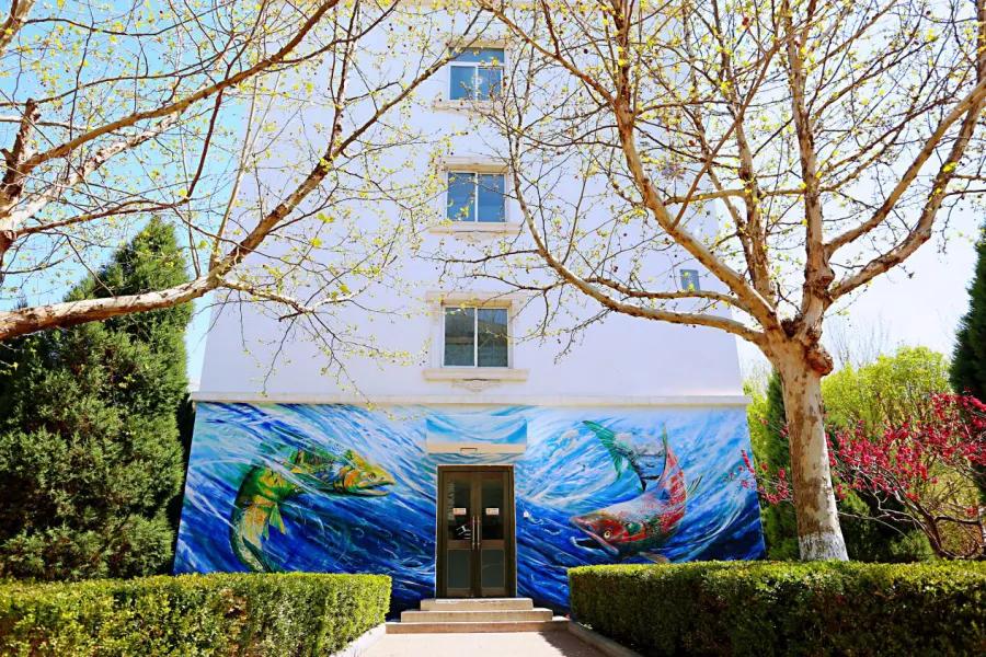 科德学院计划外本科,科德计划外本科入的什么学籍